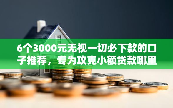 6个3000元无视一切必下款的口子推荐，专为攻克小额贷款哪里最可靠难题