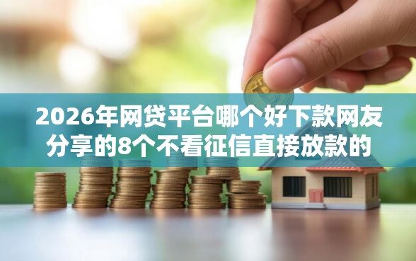 2026年网贷平台哪个好下款网友分享的8个不看征信直接放款的平台我觉得不错！