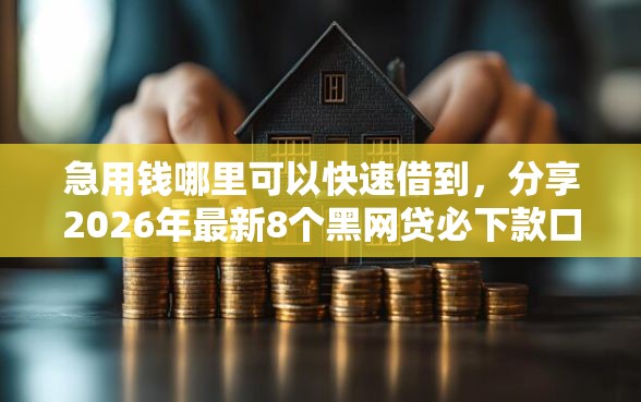 急用钱哪里可以快速借到，分享2026年最新8个黑网贷必下款口子