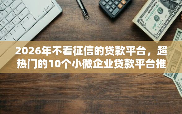 2026年不看征信的贷款平台，超热门的10个小微企业贷款平台推荐