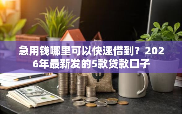 急用钱哪里可以快速借到？2026年最新发的5款贷款口子