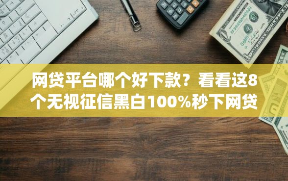 网贷平台哪个好下款？看看这8个无视征信黑白100%秒下网贷app怎么样