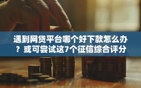 遇到网贷平台哪个好下款怎么办？或可尝试这7个征信综合评分不足能下款的平台