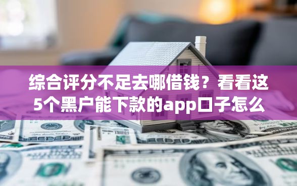 综合评分不足去哪借钱？看看这5个黑户能下款的app口子怎么样