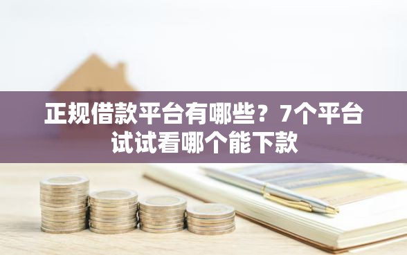 正规借款平台有哪些？7个平台试试看哪个能下款