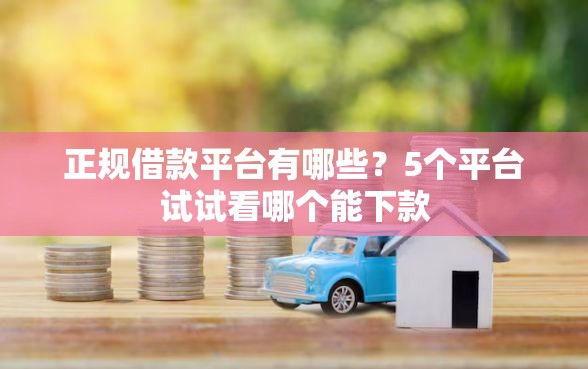 正规借款平台有哪些？5个平台试试看哪个能下款