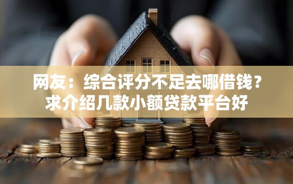 网友：综合评分不足去哪借钱？求介绍几款小额贷款平台好