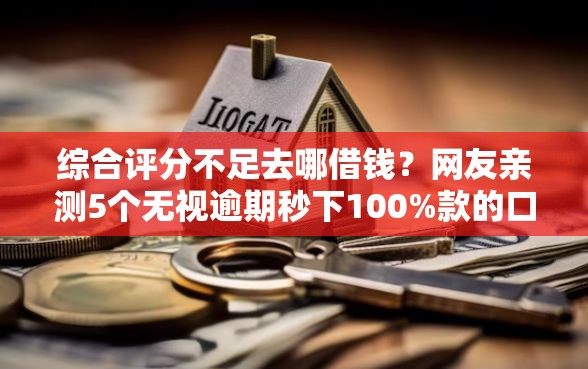 综合评分不足去哪借钱？网友亲测5个无视逾期秒下100%款的口子盘点