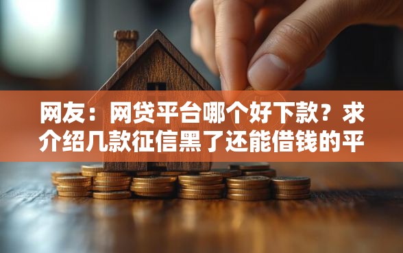 网友：网贷平台哪个好下款？求介绍几款征信黑了还能借钱的平台