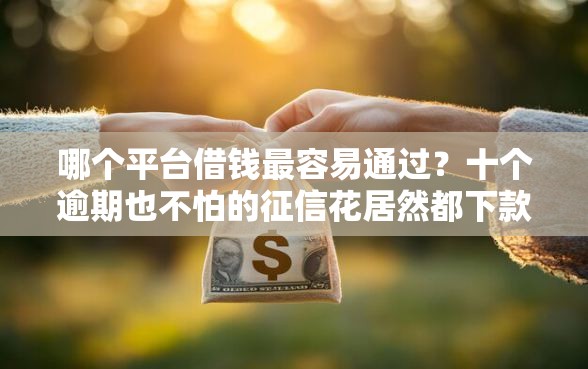 哪个平台借钱最容易通过？十个逾期也不怕的征信花居然都下款的软件