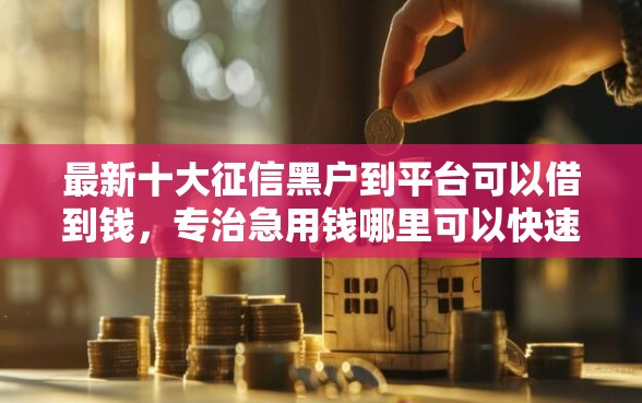 最新十大征信黑户到平台可以借到钱，专治急用钱哪里可以快速借到