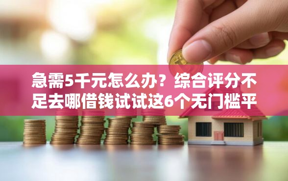 急需5千元怎么办？综合评分不足去哪借钱试试这6个无门槛平台
