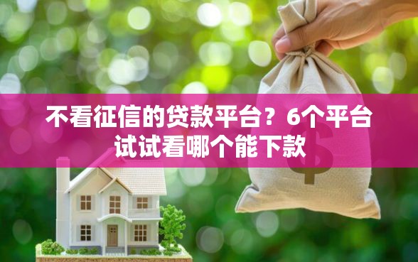 不看征信的贷款平台？6个平台试试看哪个能下款