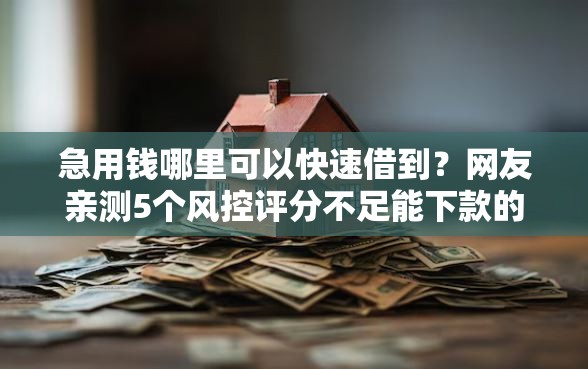 急用钱哪里可以快速借到？网友亲测5个风控评分不足能下款的平台盘点