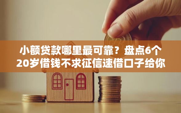 小额贷款哪里最可靠？盘点6个20岁借钱不求征信速借口子给你参考
