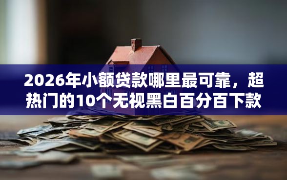 2026年小额贷款哪里最可靠，超热门的10个无视黑白百分百下款的借款软件推荐