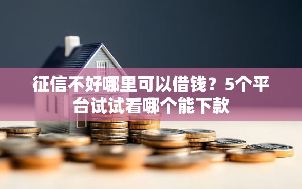征信不好哪里可以借钱？5个平台试试看哪个能下款