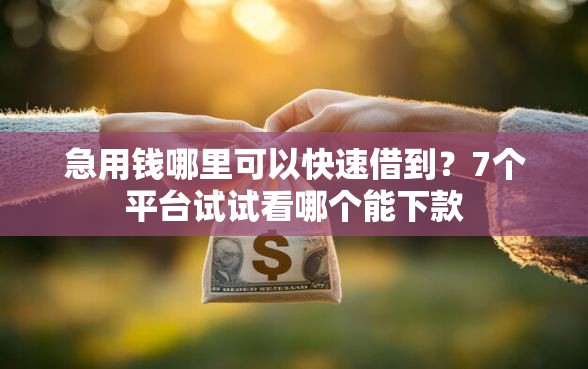 急用钱哪里可以快速借到？7个平台试试看哪个能下款