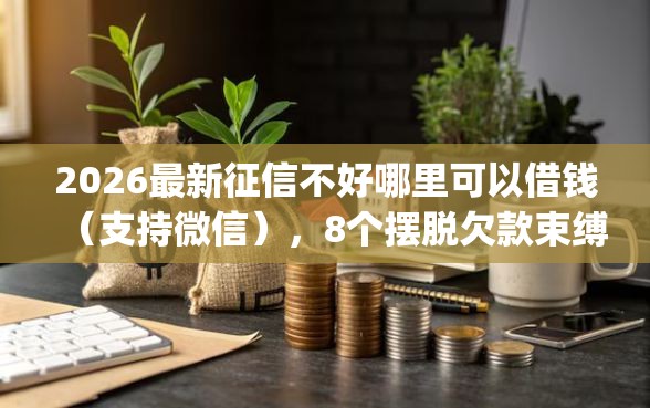 2026最新征信不好哪里可以借钱（支持微信），8个摆脱欠款束缚贷款新app无私分享