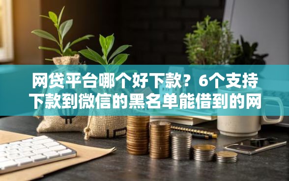 网贷平台哪个好下款？6个支持下款到微信的黑名单能借到的网贷平台