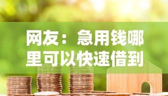 网友：急用钱哪里可以快速借到？求介绍几款花户黑户秒下的口子
