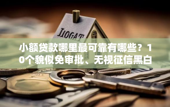 小额贷款哪里最可靠有哪些？10个貌似免审批、无视征信黑白100%秒下平台合集