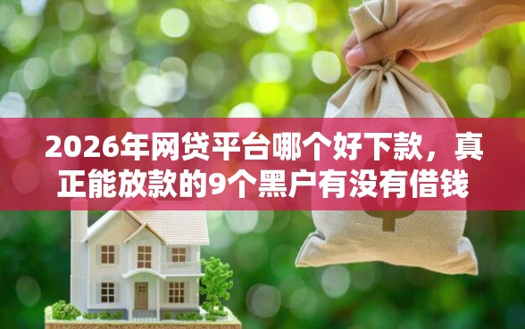 2026年网贷平台哪个好下款，真正能放款的9个黑户有没有借钱的平台推荐