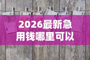 2026最新急用钱哪里可以快速借到，总结十个黑户可快速办理小额贷款业务的软件！