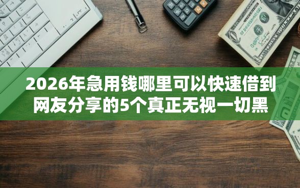 2026年急用钱哪里可以快速借到网友分享的5个真正无视一切黑能下款口子我觉得不错！