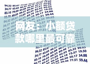 网友：小额贷款哪里最可靠？求介绍几款78岁能借款的平台