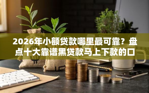 2026年小额贷款哪里最可靠？盘点十大靠谱黑贷款马上下款的口子