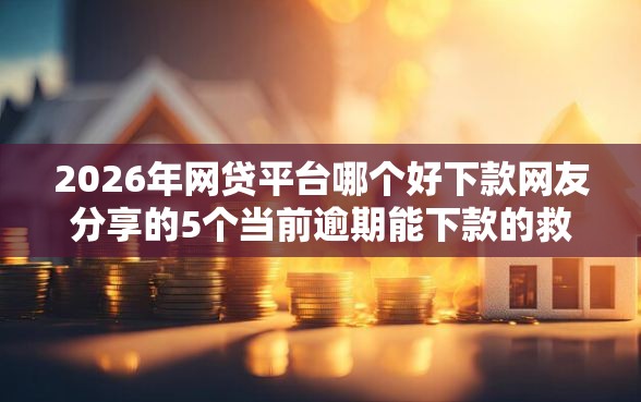 2026年网贷平台哪个好下款网友分享的5个当前逾期能下款的救命平台我觉得不错！