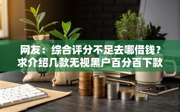 网友：综合评分不足去哪借钱？求介绍几款无视黑户百分百下款软件