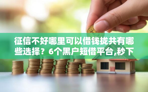 征信不好哪里可以借钱拢共有哪些选择？6个黑户短借平台,秒下款还可靠详解