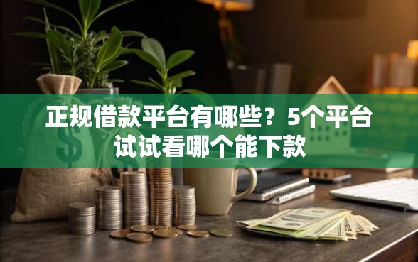 正规借款平台有哪些？5个平台试试看哪个能下款