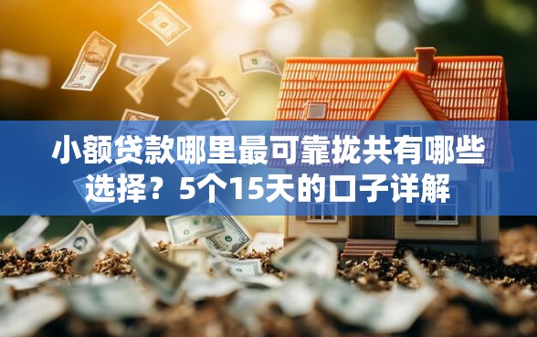 小额贷款哪里最可靠拢共有哪些选择？5个15天的口子详解