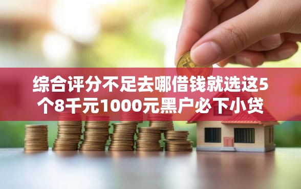 综合评分不足去哪借钱就选这5个8千元1000元黑户必下小贷