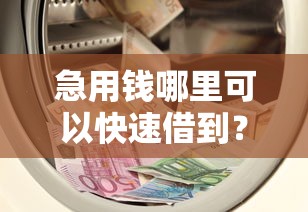 急用钱哪里可以快速借到？十大值得信赖的借贷口子推荐