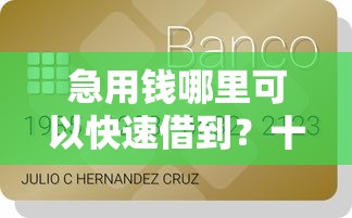 急用钱哪里可以快速借到？十个逾期也不怕的大的贷款平台
