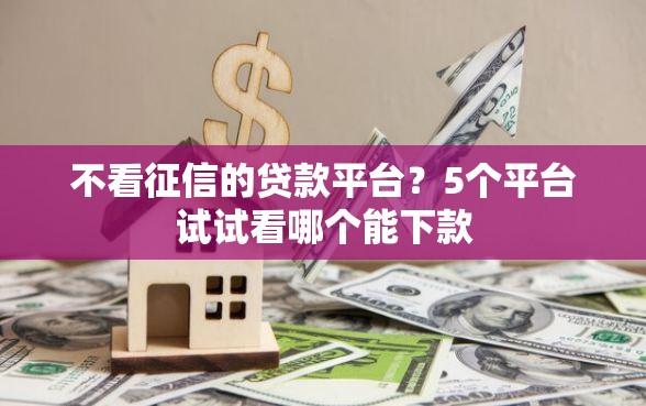 不看征信的贷款平台？5个平台试试看哪个能下款