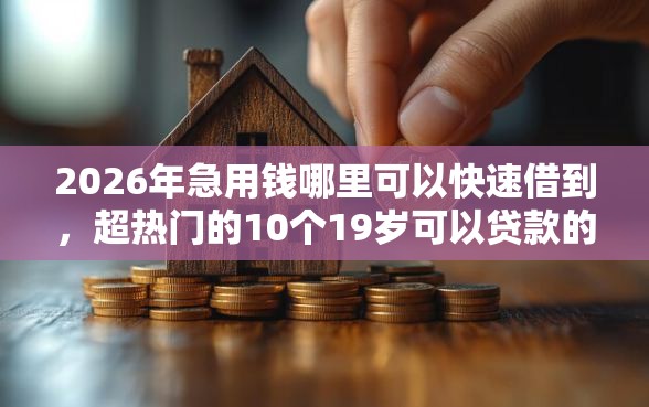 2026年急用钱哪里可以快速借到，超热门的10个19岁可以贷款的平台推荐