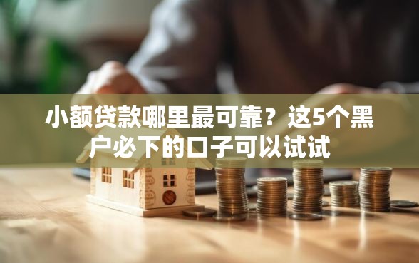 小额贷款哪里最可靠？这5个黑户必下的口子可以试试