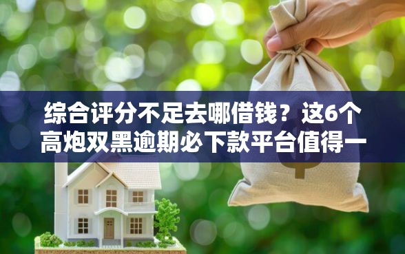 综合评分不足去哪借钱？这6个高炮双黑逾期必下款平台值得一试