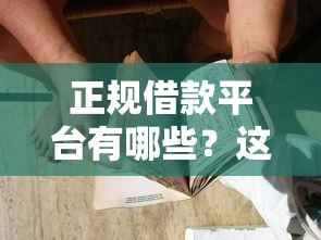 正规借款平台有哪些？这8个平台借钱容易通过值得一试