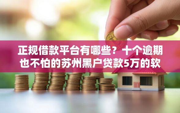 正规借款平台有哪些？十个逾期也不怕的苏州黑户贷款5万的软件