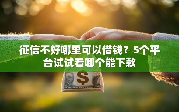 征信不好哪里可以借钱？5个平台试试看哪个能下款
