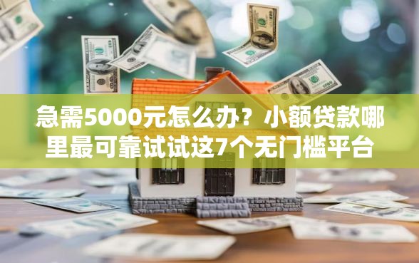 急需5000元怎么办？小额贷款哪里最可靠试试这7个无门槛平台