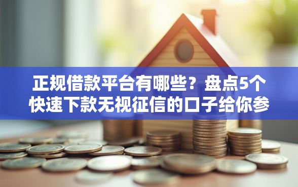 正规借款平台有哪些？盘点5个快速下款无视征信的口子给你参考