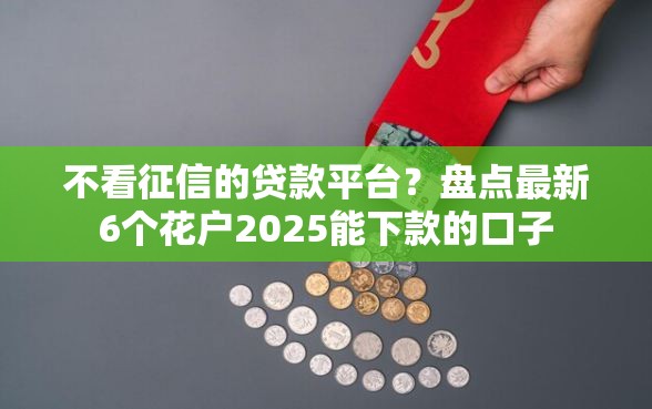 不看征信的贷款平台？盘点最新6个花户2025能下款的口子