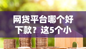 网贷平台哪个好下款？这5个小米贷款平台值得一试